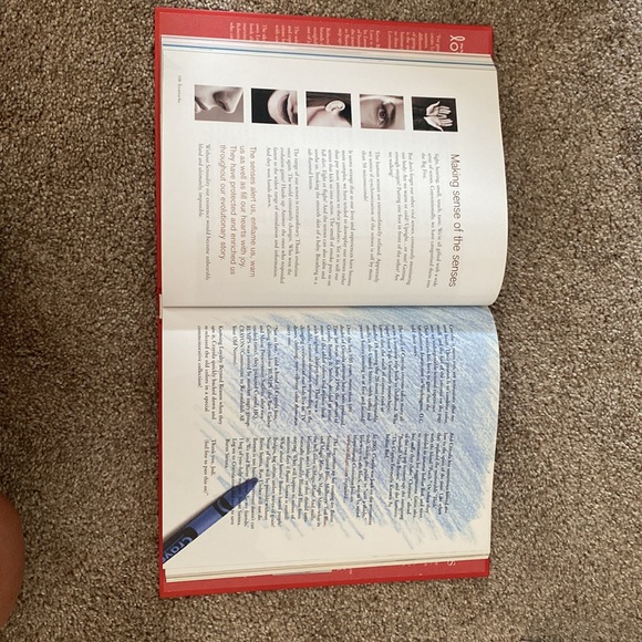 Lovemarks Book by Kevin Roberts - Picture 3 of 5